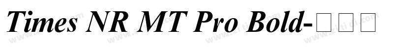 Times NR MT Pro Bold字体转换
